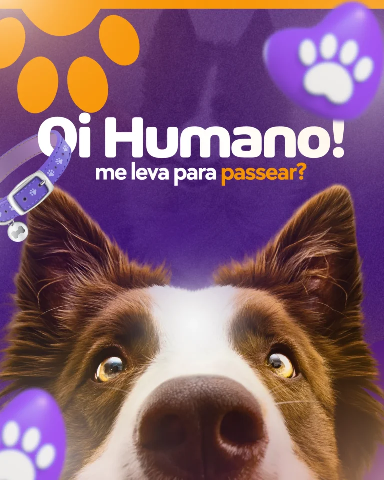 Posts-Petshop-1-1.webp